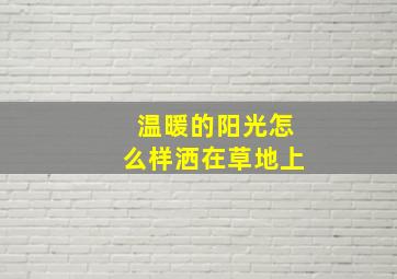 温暖的阳光怎么样洒在草地上