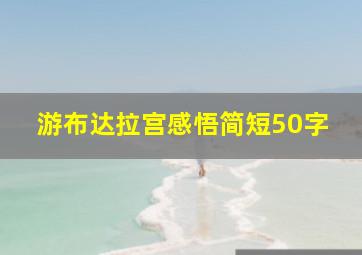 游布达拉宫感悟简短50字