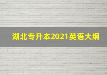 湖北专升本2021英语大纲