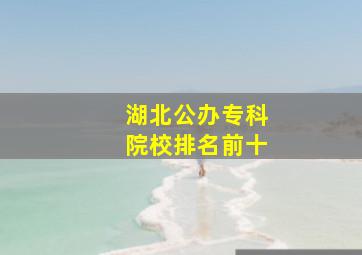 湖北公办专科院校排名前十