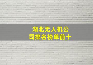 湖北无人机公司排名榜单前十