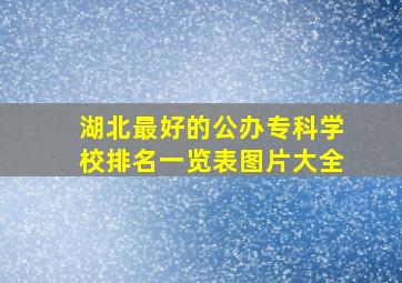 湖北最好的公办专科学校排名一览表图片大全