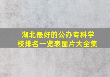 湖北最好的公办专科学校排名一览表图片大全集