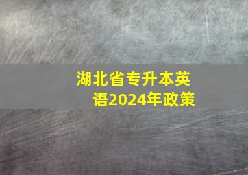 湖北省专升本英语2024年政策