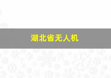 湖北省无人机