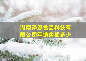 湖南泽恩食品科技有限公司年销售额多少