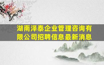 湖南泽泰企业管理咨询有限公司招聘信息最新消息