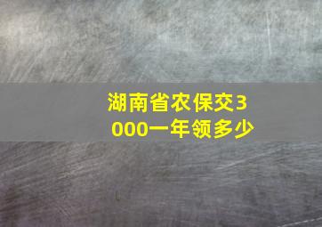 湖南省农保交3000一年领多少