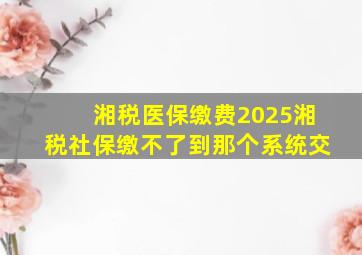 湘税医保缴费2025湘税社保缴不了到那个系统交