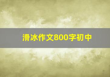 滑冰作文800字初中