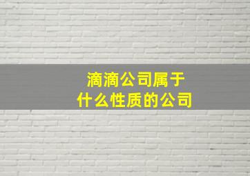 滴滴公司属于什么性质的公司