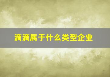 滴滴属于什么类型企业