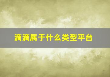 滴滴属于什么类型平台