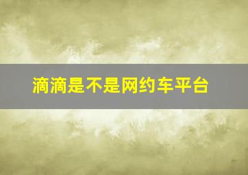 滴滴是不是网约车平台