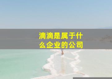 滴滴是属于什么企业的公司