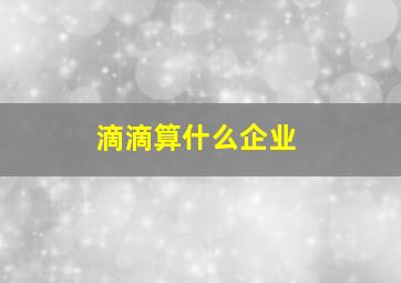 滴滴算什么企业