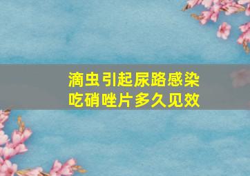 滴虫引起尿路感染吃硝唑片多久见效