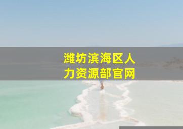 潍坊滨海区人力资源部官网