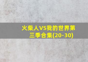 火柴人VS我的世界第三季合集(20-30)