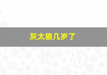 灰太狼几岁了