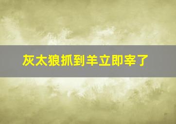 灰太狼抓到羊立即宰了