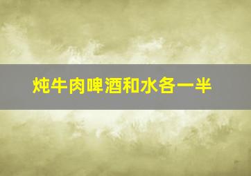 炖牛肉啤酒和水各一半