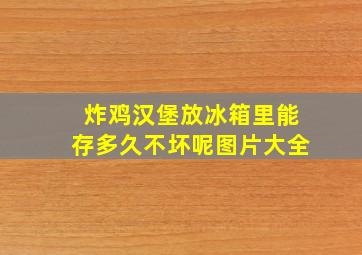 炸鸡汉堡放冰箱里能存多久不坏呢图片大全