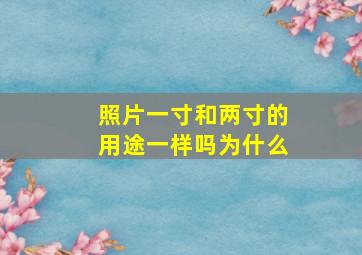 照片一寸和两寸的用途一样吗为什么