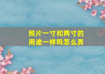 照片一寸和两寸的用途一样吗怎么弄