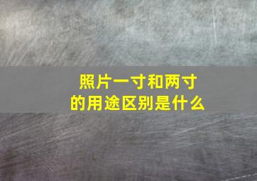 照片一寸和两寸的用途区别是什么