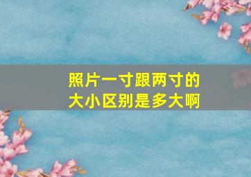 照片一寸跟两寸的大小区别是多大啊