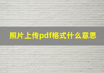 照片上传pdf格式什么意思