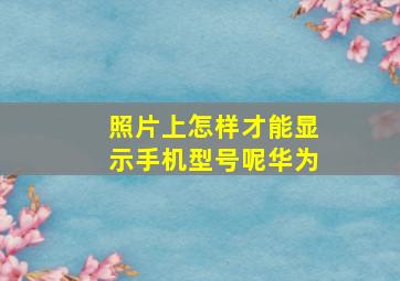 照片上怎样才能显示手机型号呢华为