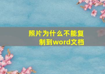 照片为什么不能复制到word文档