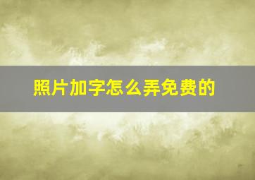 照片加字怎么弄免费的