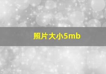 照片大小5mb