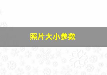 照片大小参数