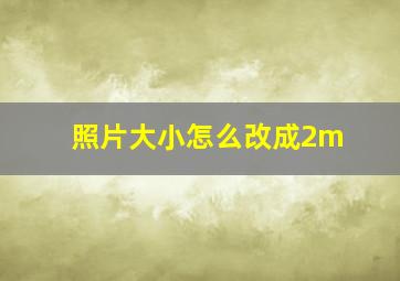 照片大小怎么改成2m