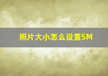 照片大小怎么设置5M