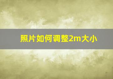 照片如何调整2m大小