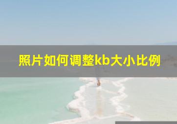 照片如何调整kb大小比例