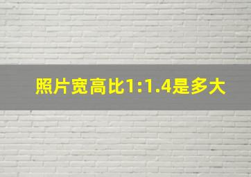 照片宽高比1:1.4是多大