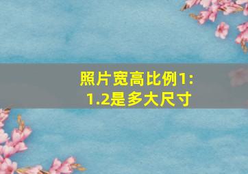 照片宽高比例1:1.2是多大尺寸