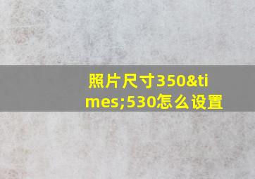 照片尺寸350×530怎么设置