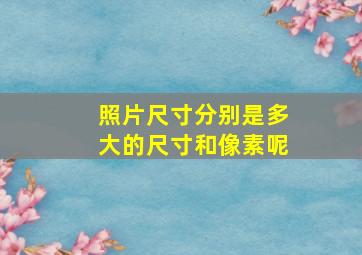 照片尺寸分别是多大的尺寸和像素呢