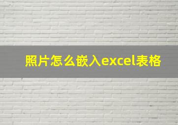 照片怎么嵌入excel表格