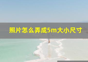 照片怎么弄成5m大小尺寸