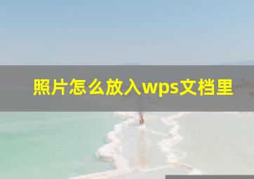 照片怎么放入wps文档里