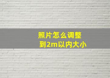 照片怎么调整到2m以内大小