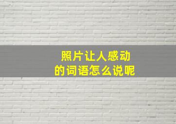 照片让人感动的词语怎么说呢